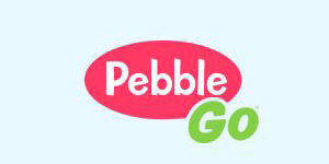 pebblego-8123075
